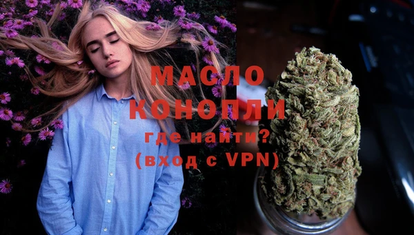 индика Нефтегорск