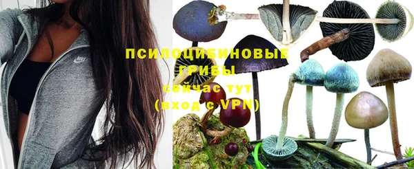 jwh Нея