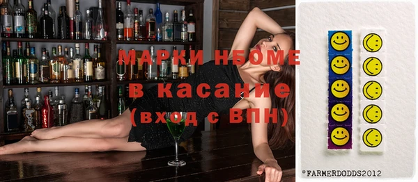 индика Нефтегорск