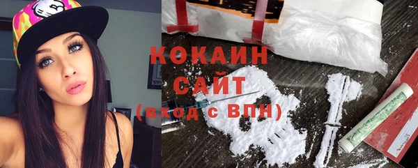 индика Нефтегорск