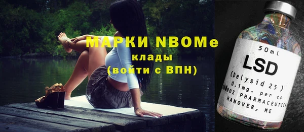 индика Нефтегорск