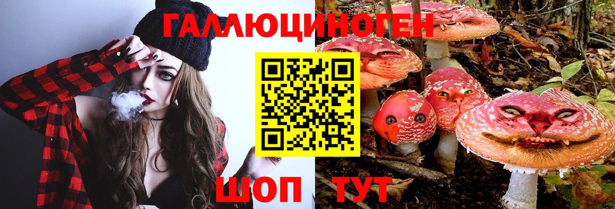 Галлюциногенные грибы Psilocybe Рубцовск