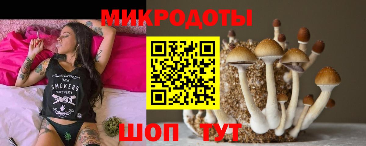 Рубцовск  Галлюциногенные грибы мицелий  где продают наркотики  Галлюциногенные грибы GOLDEN TEACHER  Вход с VPN 
